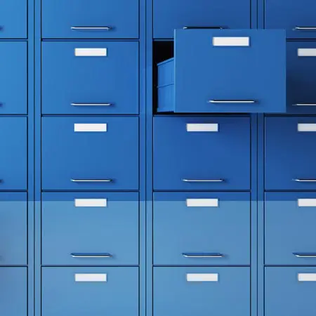 Simplifique e Organize sua Vida