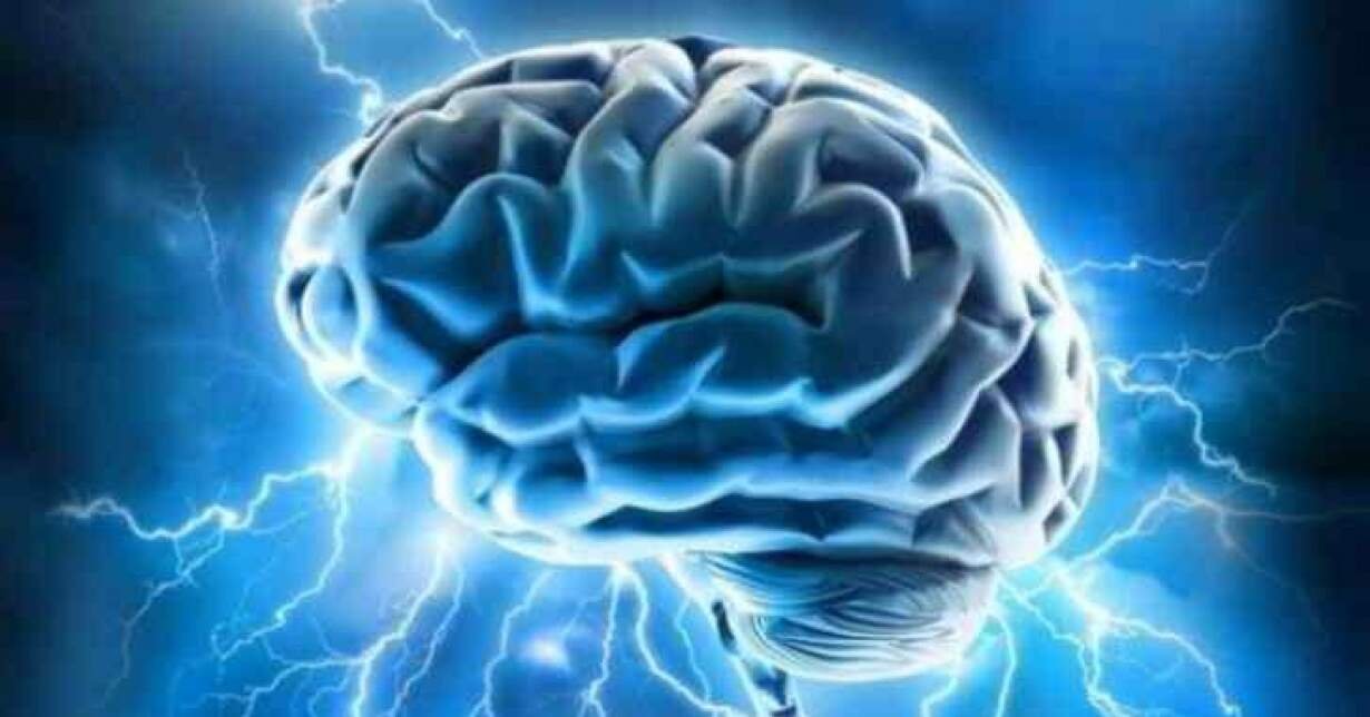 Cérebros potencializados geram mais dinheiro.