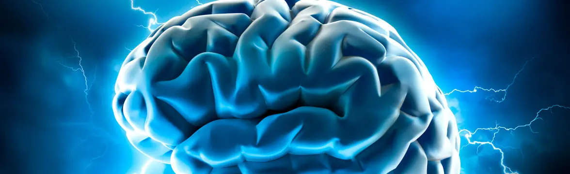 treinamento-do-cerebro-full