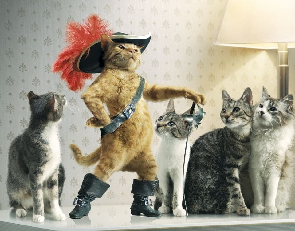 Ser a melhor versão de si mesmo, superação