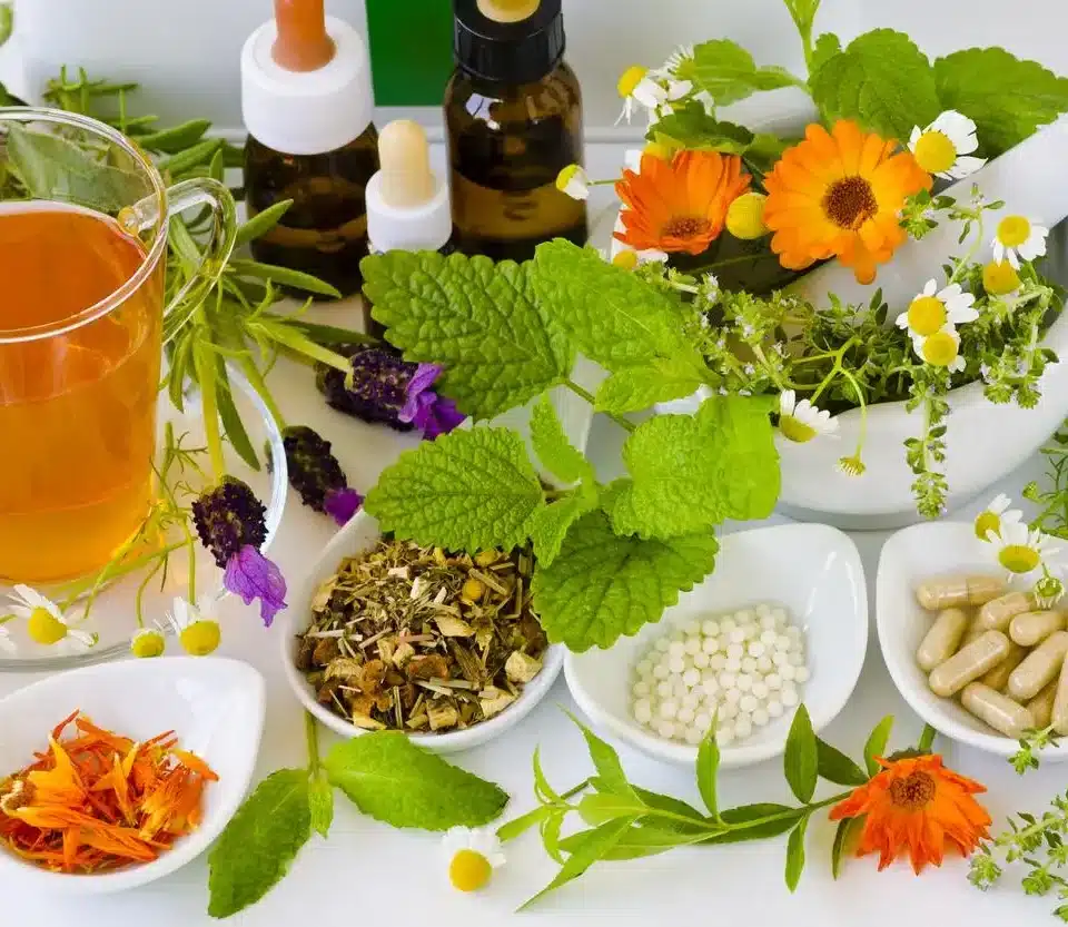 Curso Psicoterapia de Florais e Fitoterapia